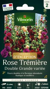 Rose Trémière Double Grande Variée - Graines d'Exception